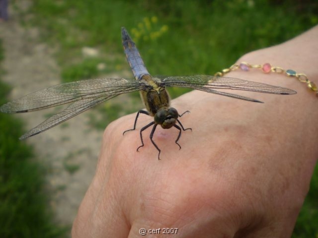 2007 05 Séjour en Brenne 083